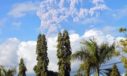 Volcanic ash halts flights to north Australian city