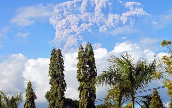 Volcanic ash halts flights to north Australian city