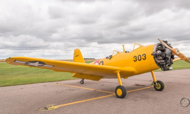Hector, MN 2014 Fly-in