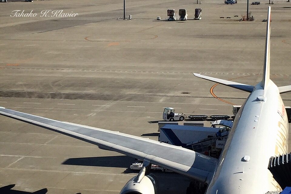 Look at the shadow of the wing!