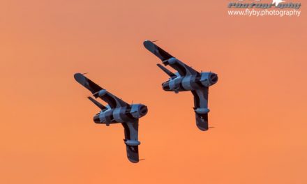 My airliner photos have gotten a rather luke warm reception, so here are Snort and Buick tearing it up at sunset.