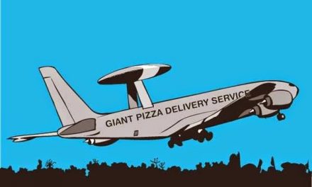Delivery?  #AviationHumor   #Flying