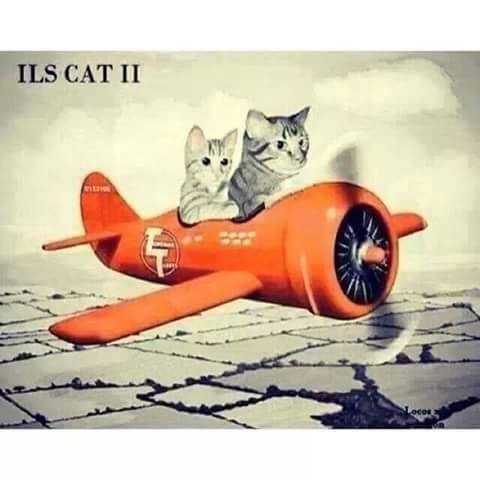 #aviationhumor #ilscat