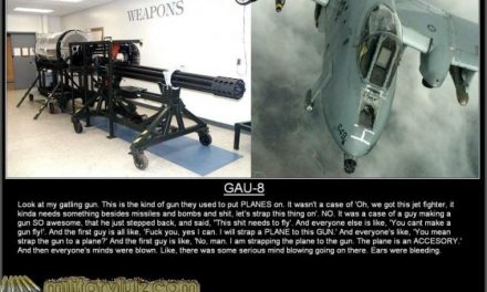 Gazing Skyward TV, I think this best describes the GAU-8 the best. LMAO!