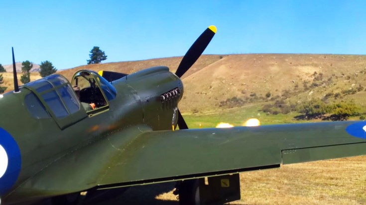 P-40 Kittyhawk Testing Her Machine Guns Will Make Your Day