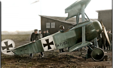 Leutnant Werner Voss, Staffelführer of Jasta 10 in his Fokker F.I, September 1917. (KIA 23/9/17 aged 20)