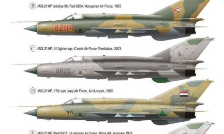 Different Mikoyan-Gueverich MiG-21 “Fishbed” markings.