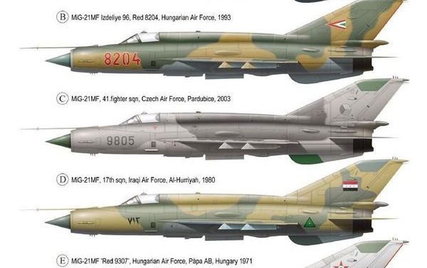 Different Mikoyan-Gueverich MiG-21 “Fishbed” markings.
