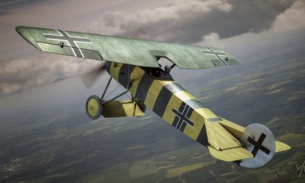 WWI German Fokker DVIII – circa October 1918 shortly before the end of hostilities.