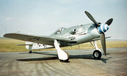 FW-190 D-9  “Dora”
