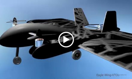 “Eagle Wing VTOL FPV”,  shows control surface movements, taxi, and motor rotate. Animation: In the paint shop.