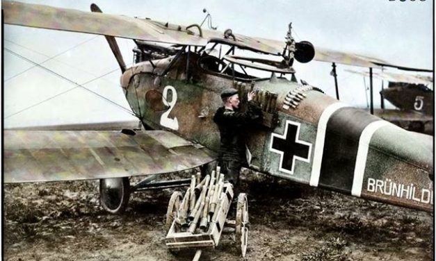 Halberstadt C.L.2 – serial “2” named “Brunhilde”  a reconnaissance/ ground attack aircraft – a colorized black and…