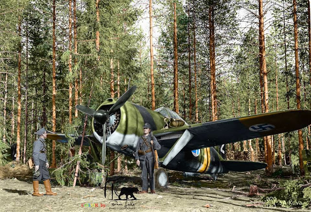 A Finnish Brewster Buffalo 239 fighter (BW-352) of (Squadron) Lentolaivue/24 at Selänpää airfield.