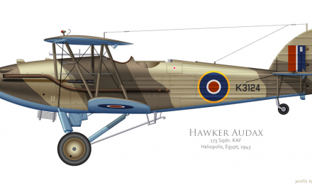 Hawker Audax 173 Sqn RAF Heliopolis, Egypt, 1943 | profile by Clavework Graphics