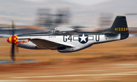 A recent post from my NORTH AMERICAN P-51 MUSTANG community.
