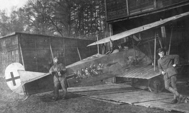 Here is another view of the German Fokker DVII of Wilhelm Scheutzel with its “Seven Swabians” motif from a post…